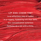 Lixstick