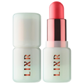 Lixstick