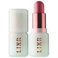 Lixstick